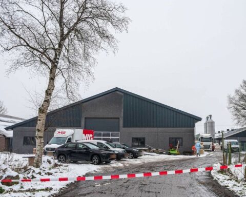 Vogelgriep vastgesteld op leghennenbedrijf in Dalen, 15.000 kippen geruimd