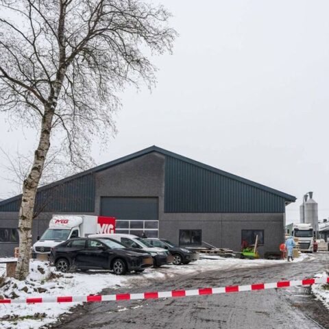 Vogelgriep vastgesteld op leghennenbedrijf in Dalen, 15.000 kippen geruimd