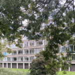 Woningtekort kan mogelijk halveren door woningdelen, maar juridische obstakels blijven bestaan