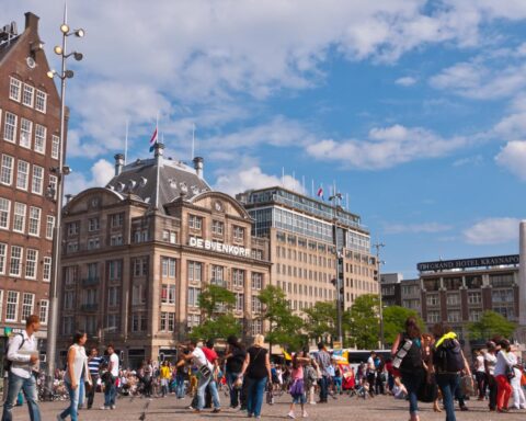 Amsterdamse arme wijken profiteren niet van de schaduwrijke bomen in de stad