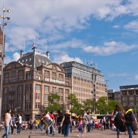Amsterdamse arme wijken profiteren niet van de schaduwrijke bomen in de stad