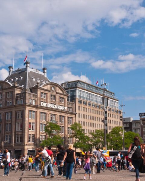 Amsterdamse arme wijken profiteren niet van de schaduwrijke bomen in de stad