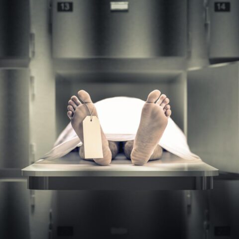 Bijna 5.800 mensen sterven jaarlijks door zelfhonger in Nederland: onderzoek