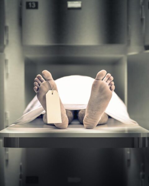 Bijna 5.800 mensen sterven jaarlijks door zelfhonger in Nederland: onderzoek