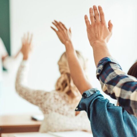 Bioscoopuren in Nederlandse middelbare scholen zullen met 30% verminderen door nieuw curriculum