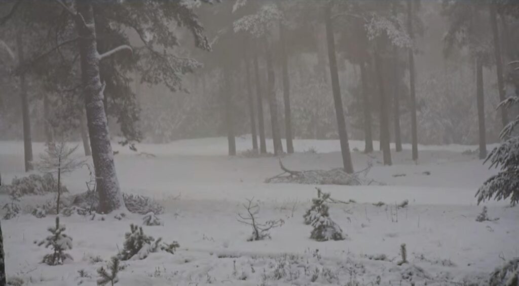 Code geel afgekondigd door verwachte sneeuw en ijs in delen van Nederland
