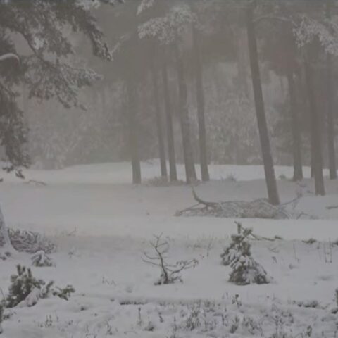 Code geel afgekondigd door verwachte sneeuw en ijs in delen van Nederland