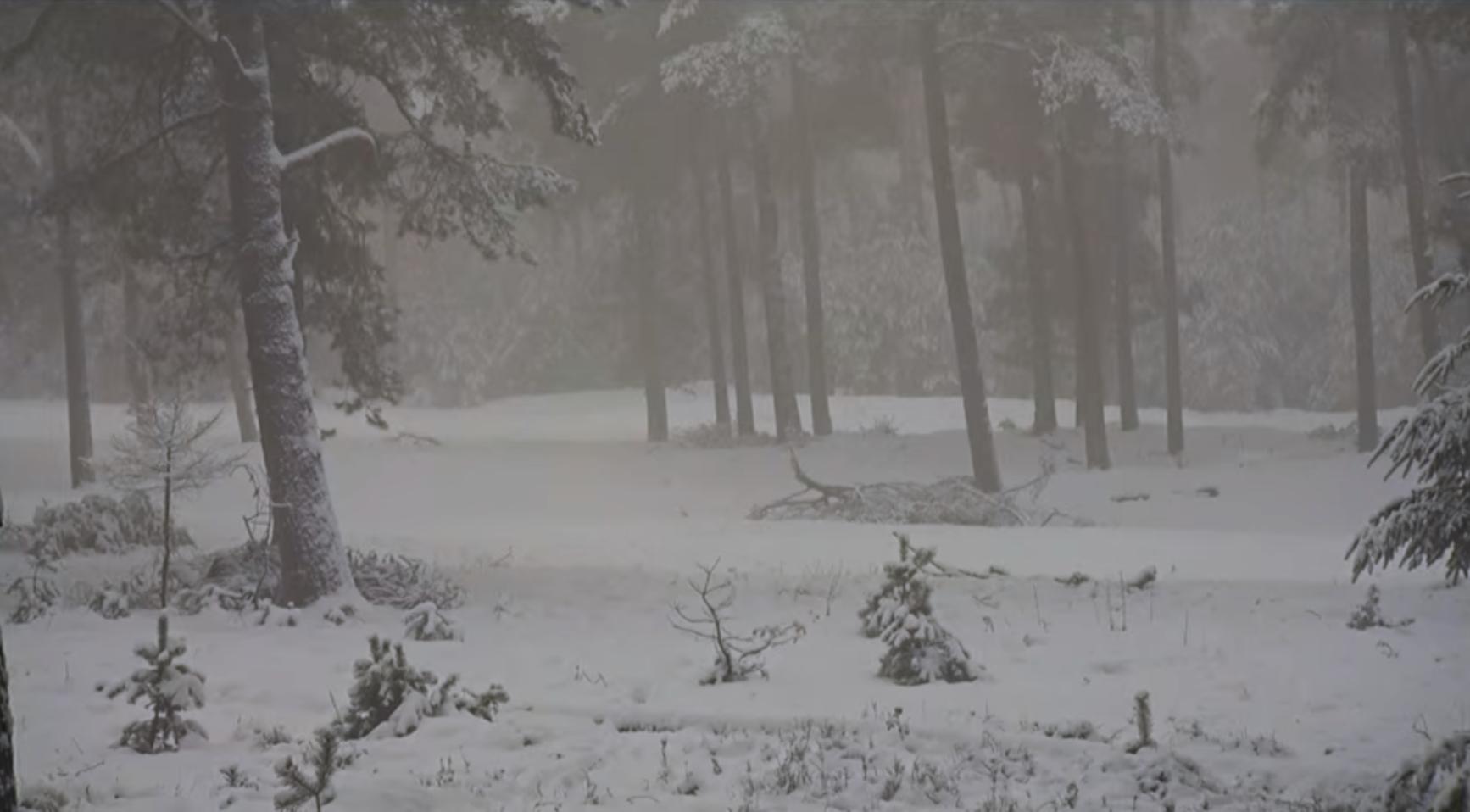 Code geel afgekondigd door verwachte sneeuw en ijs in delen van Nederland