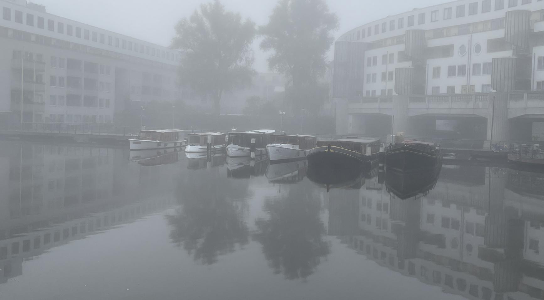 Dichte mist leidt tot code geel in noordelijk Нидерланд, terwijl zuiden mild en zonnig is