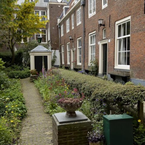 Een op de zes geteste tuinen in Amsterdam bevat ongezonde niveaus van lood