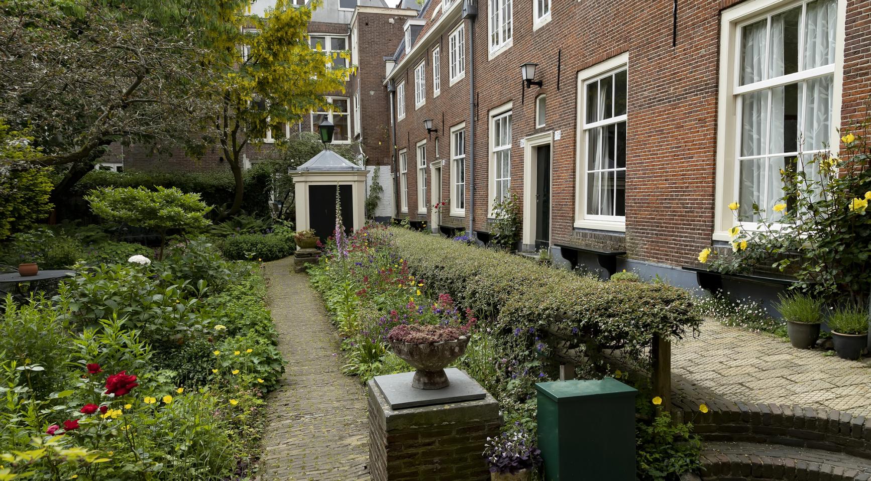 Een op de zes geteste tuinen in Amsterdam bevat ongezonde niveaus van lood