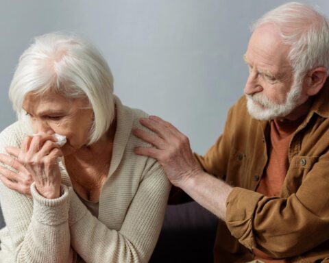 Fraudezaken в Нидерландах возросли на 60% — более 100 000 зарегистрированных случаев