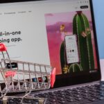 Klarna overtreedt de Nederlandse wet door schulden te innen zonder juiste registratie, zeggen experts