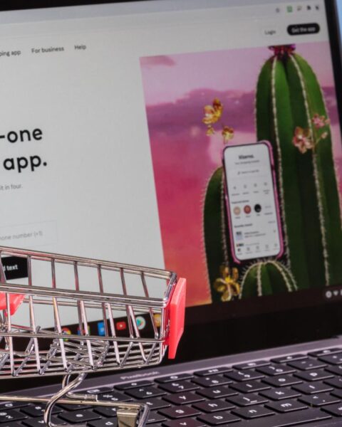 Klarna overtreedt de Nederlandse wet door schulden te innen zonder juiste registratie, zeggen experts