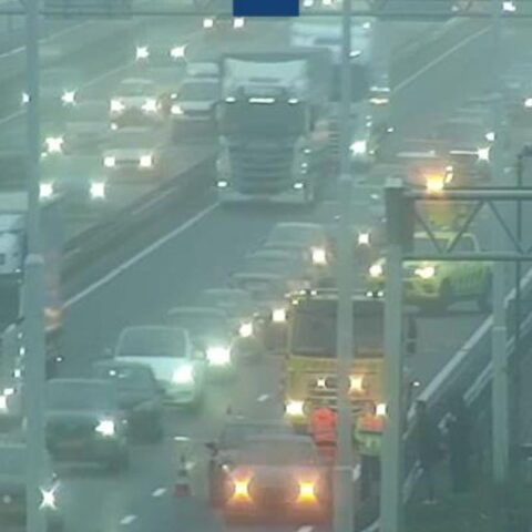 Lente komt eraan: thermometers kunnen morgen 20 graden Celsius aantikken