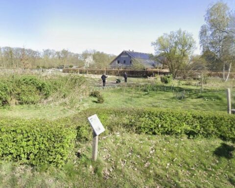 Medewerker van zorginstelling in Loenen geschorst na beschuldigingen van seksueel wangedrag