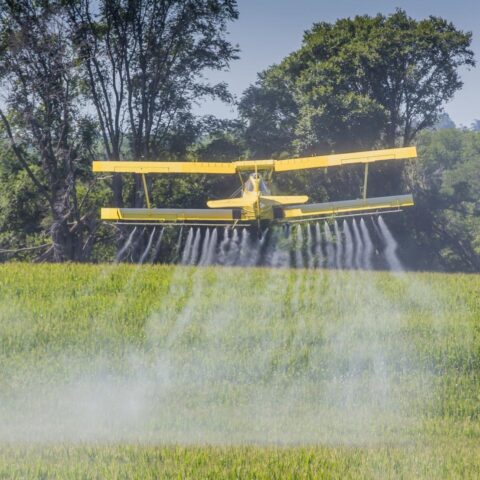Nederland blijft een jaar na uitspraak van de Raad van State zonder vergunningen voor pesticiden