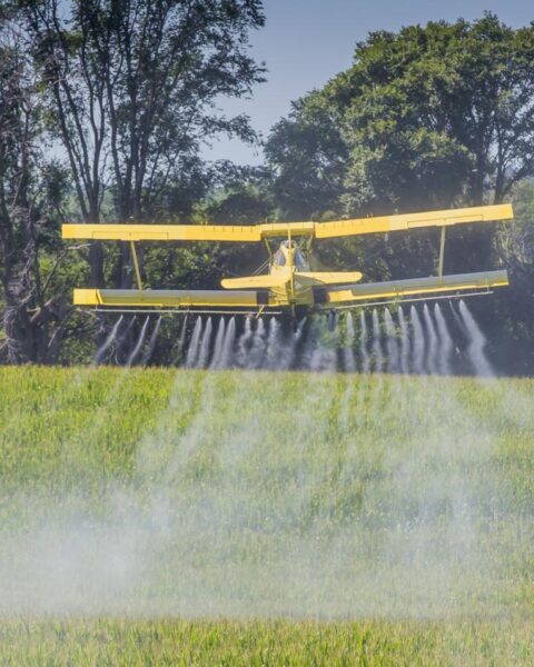 Nederland blijft een jaar na uitspraak van de Raad van State zonder vergunningen voor pesticiden