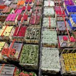 Nederlandse bloemkwekers maken op grote schaal gebruik van verboden pesticiden