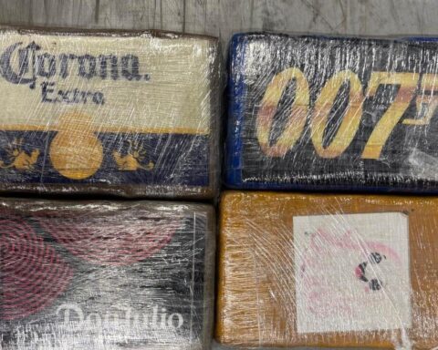 Nederlandse douane ontdekt 463 kilo cocaïne in mango-zending naar Moerdijk