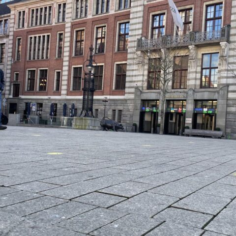 Nederlandse investeerders investeren minder in de VS door spanningen met Europa