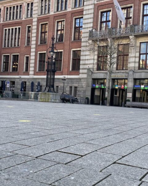 Nederlandse investeerders investeren minder in de VS door spanningen met Europa