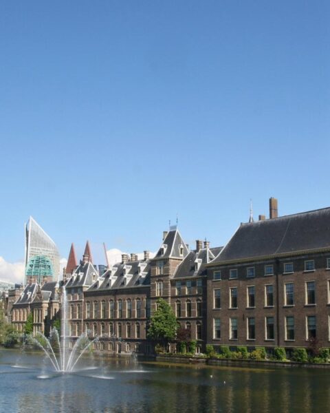 Nederlandse parlementsleden normaliseren gebruik van discriminerende taal online