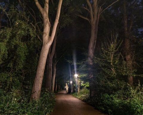 Noord-Holland lanceert meldpunt voor onveilige plekken voor inwoners