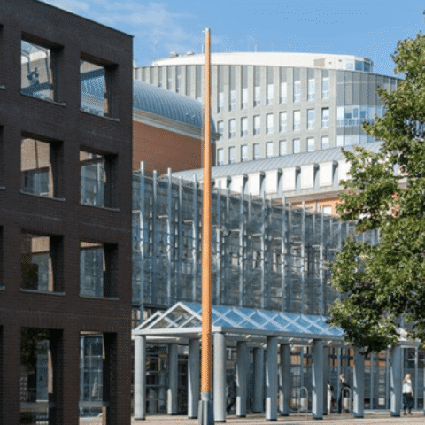 Rechtbank veroordeelt 81-jarige man uit Eindhoven voor moord op vrouw tijdens slaapwandelen