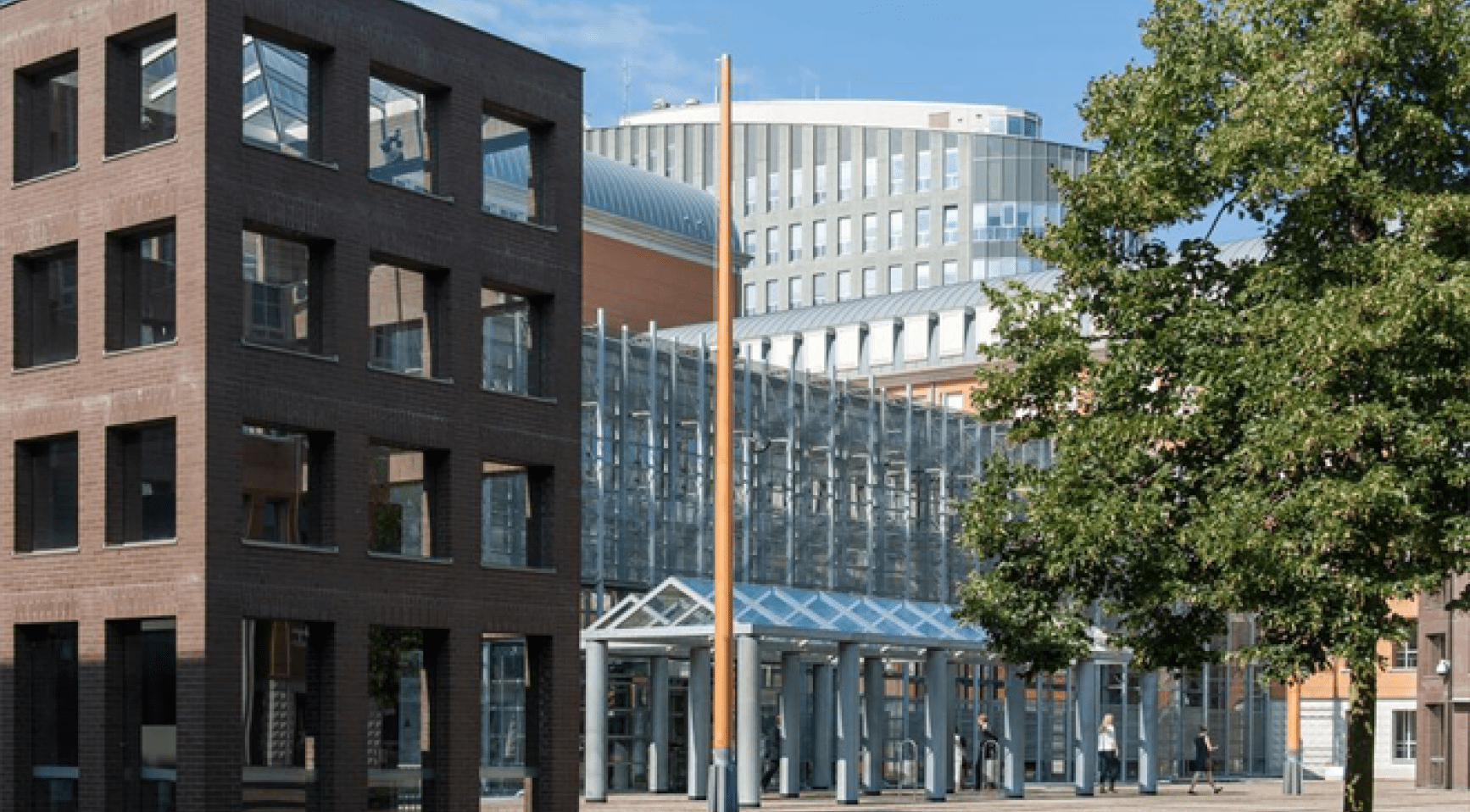 Rechtbank veroordeelt 81-jarige man uit Eindhoven voor moord op vrouw tijdens slaapwandelen