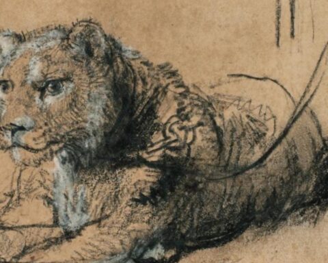 Rembrandt's schets naar verwachting tot $20 miljoen op veiling