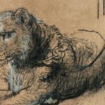 Rembrandt's tekening van jonge lion verkoopt voor recordbedrag van €17,8 miljoen