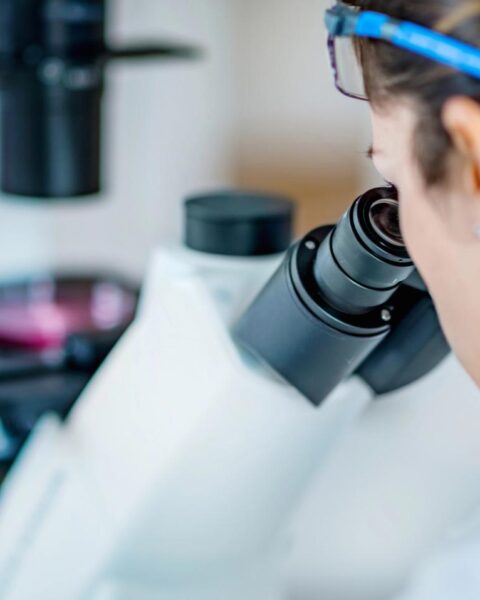 Vici-fondsen financieren onderzoek naar obesitas, klimaatverandering en hersengezondheid