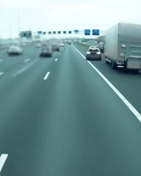 Video van gewelddadige drugsoverval op A1 nabij Muiden: vrachtwagenchauffeur mishandeld en drugs gestolen