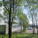 Wim Beelen start doorstart van Jongerius in Houten met focus op duurzame plantenteelt