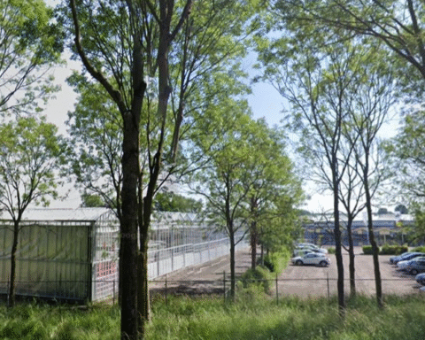 Wim Beelen start doorstart van Jongerius in Houten met focus op duurzame plantenteelt