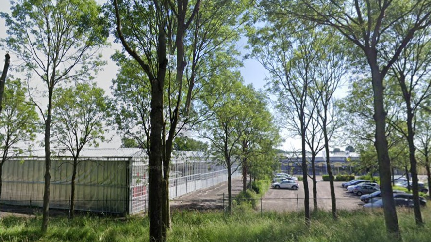 Wim Beelen start doorstart van Jongerius in Houten met focus op duurzame plantenteelt