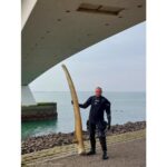 Zeldzame walviskaak uit Oosterschelde blijkt afkomstig uit Amsterdams museum