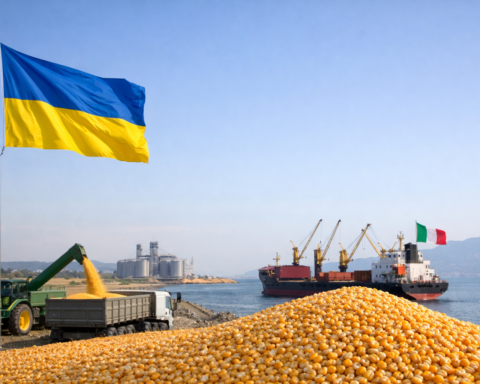 Oekraïne versterkt positie als cruciale maïsexporteur voor Italië binnen EU