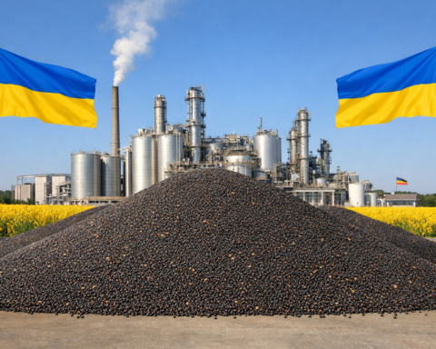Oekraïens raapzaad verzekert Duitse verwerkingscapaciteit tijdens Europese prijspiek