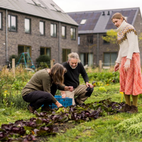 AM gaat strategische samenwerking aan met NL Greenlabel voor duurzame ontwikkeling