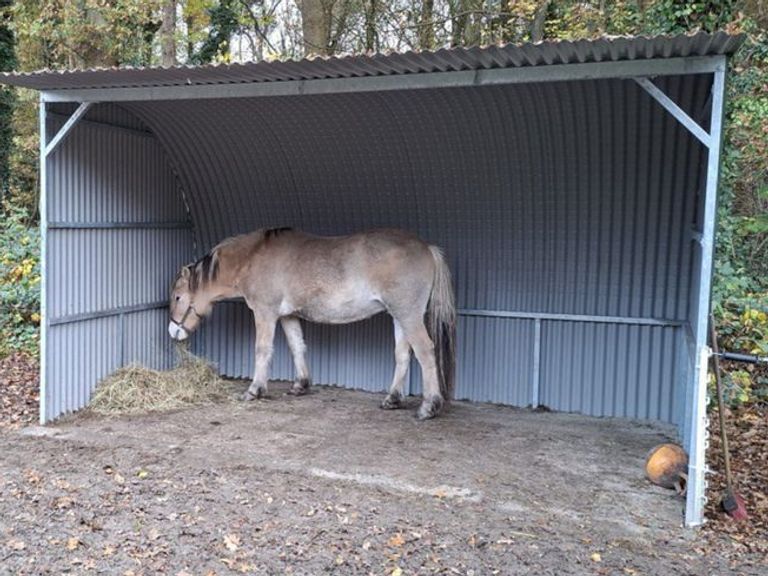 Boeren in Hoogeveen mogen een jaar lang schuilstallen bouwen ter bescherming van vee tegen wolven