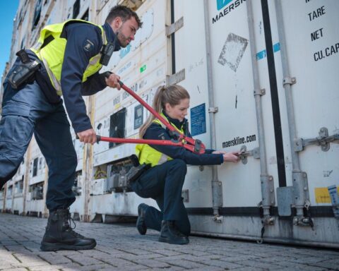 Cannabis заменяет кокаин в наркоторговле через порт Роттердама