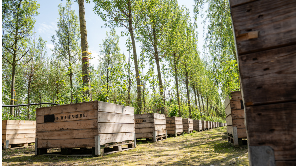 CBRE IM sluit partnerschap met Gezonde Stad Amsterdam voor duurzaam stadsleven