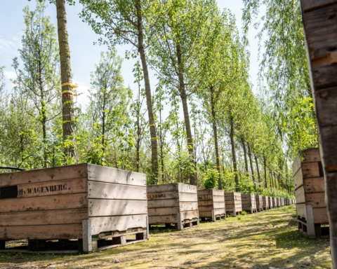 CBRE IM sluit partnerschap met Gezonde Stad Amsterdam voor duurzaam stadsleven