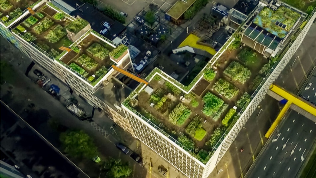 DakAkker in Rotterdam plant vergroening van omliggende daken en nieuwe ecosysteemconnecties