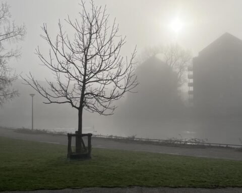 Dichte ochtendmist verdwijnt in Noord-Nederland voor een zonnig weekend