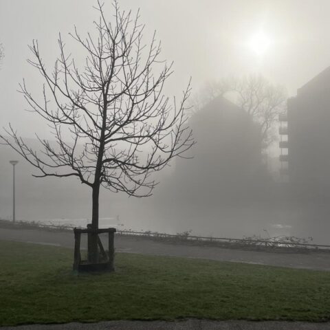 Dichte ochtendmist verdwijnt in Noord-Nederland voor een zonnig weekend