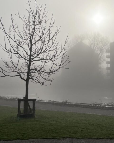 Dichte ochtendmist verdwijnt in Noord-Nederland voor een zonnig weekend