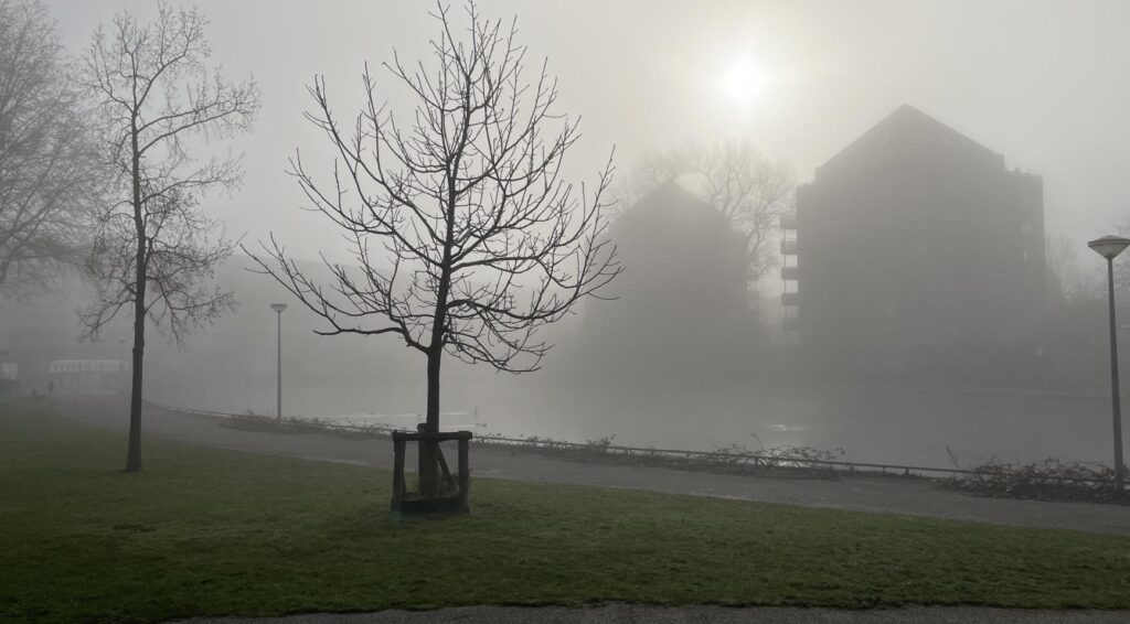 Dichte ochtendnevel in het noordwesten, zonnig in het oosten en zuiden